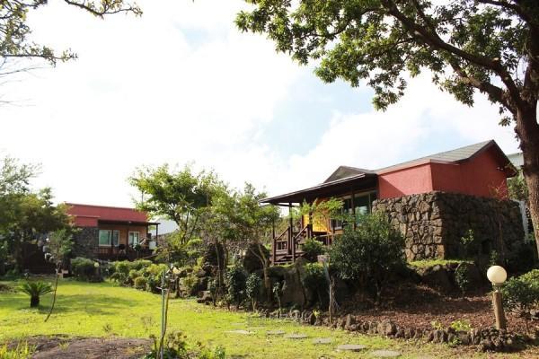 Gotjawal Geomunoreum Pension Jeju Exteriör bild