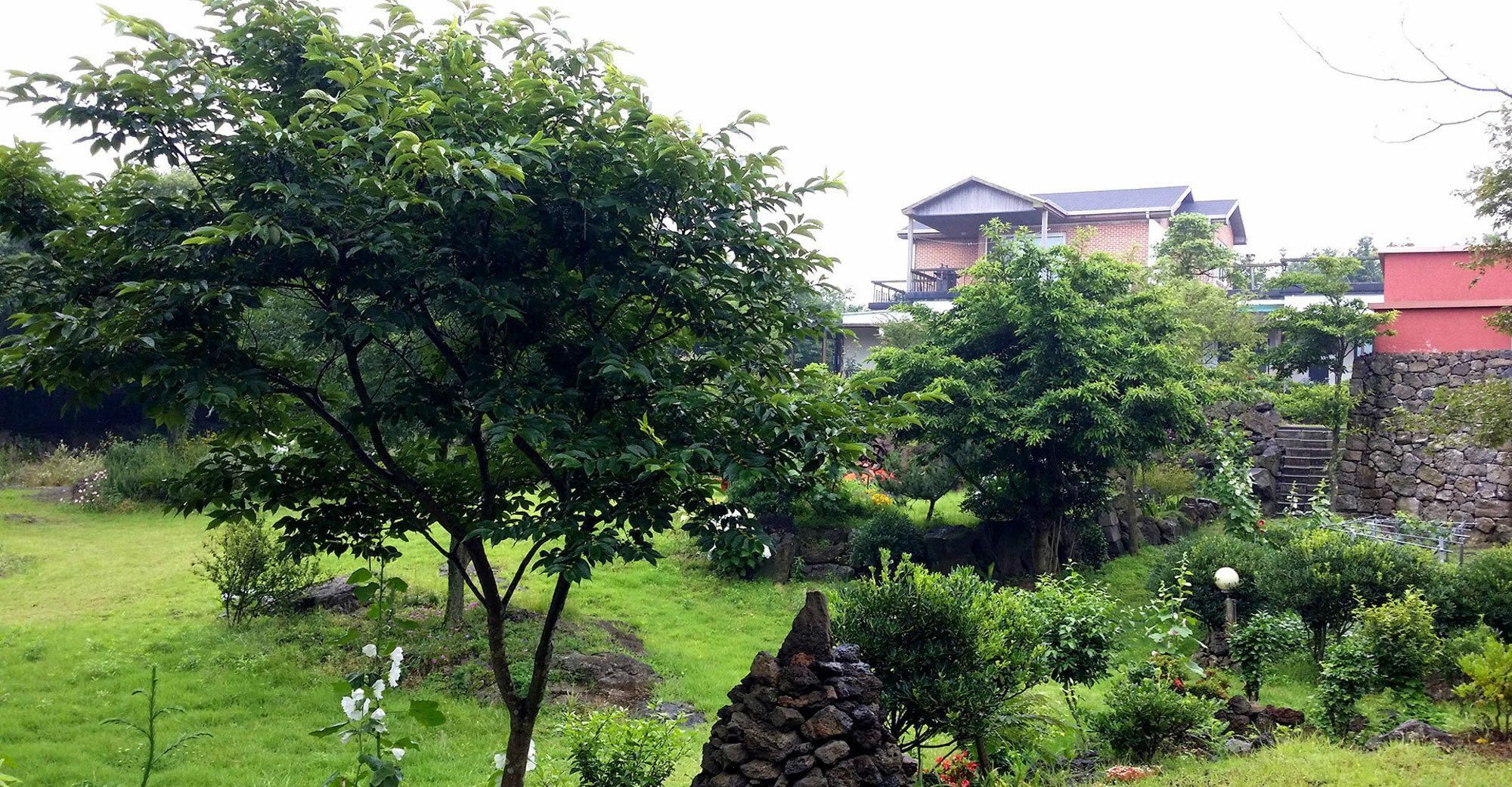 Gotjawal Geomunoreum Pension Jeju Exteriör bild
